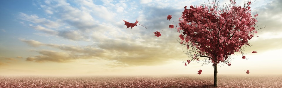 Si t”o sapesse dicere Se te lo sapessi dire Valerio Granato